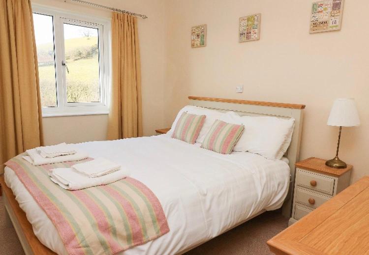 Llety Ceiro Guesthouse Αμπερίστγουιθ Εξωτερικό φωτογραφία