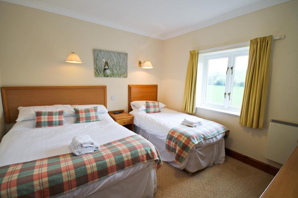 Llety Ceiro Guesthouse Αμπερίστγουιθ Εξωτερικό φωτογραφία